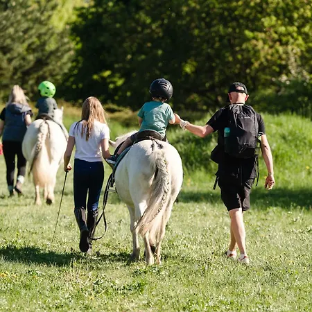 Tinyhousebeidresden Zwischen Den Teichen Und Auf Der Pferdekoppel Kaminofen Terrasse Klimaanlage Ferienhaus Lauterbach (Rugen)