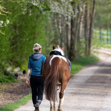 Tinyhousebeidresden Zwischen Den Teichen Und Auf Der Pferdekoppel Kaminofen Terrasse Klimaanlage Lauterbach (Rugen)