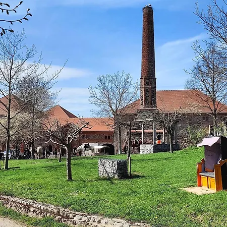 Tiny House Mit Kaminofen & Terrasse Direkt An Naturteichen - Bis 5 Personen - Fuer Kurzentschlossene בית נופש *